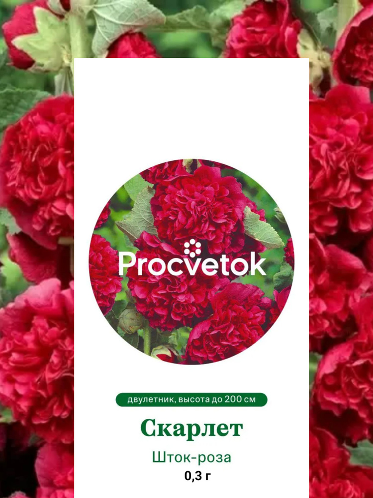 Семена Шток-роза Скарлет 0,3г, Процветок #1