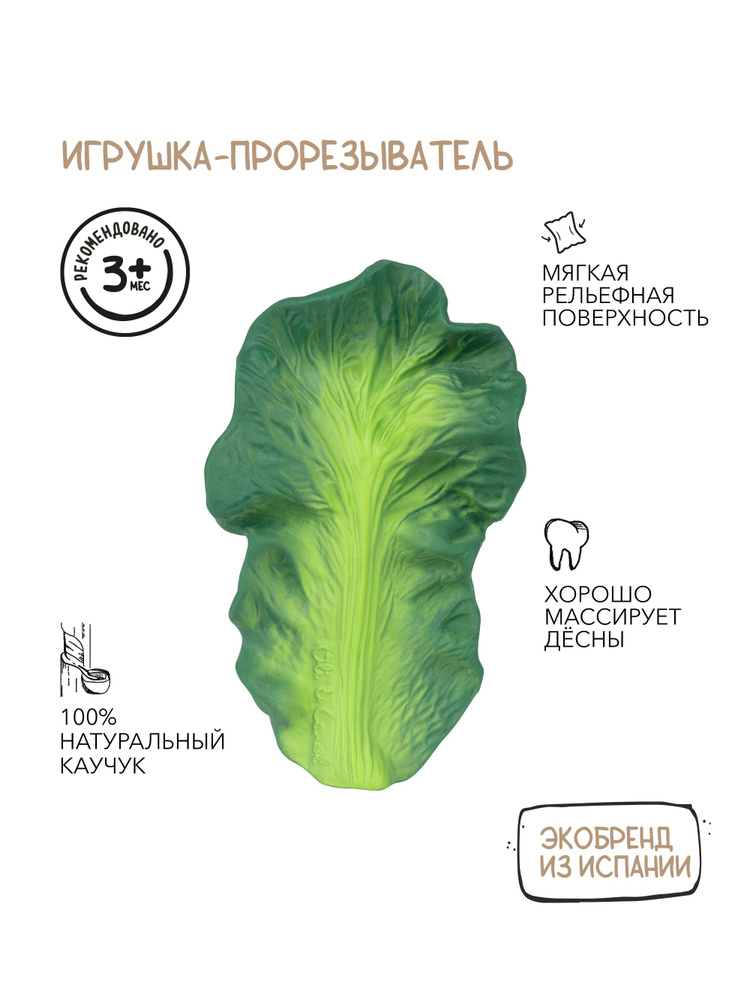 Oli&Carol Прорезыватель грызунок детский для зубов KENDALL THE KALE из натурального каучука #1