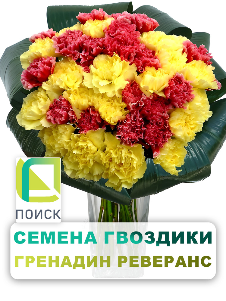 Семена Гвоздика Гренадин "Реверанс" 0,1 гр, двулетние цветы для дачи, сада и огорода, клумбы, в открытый #1