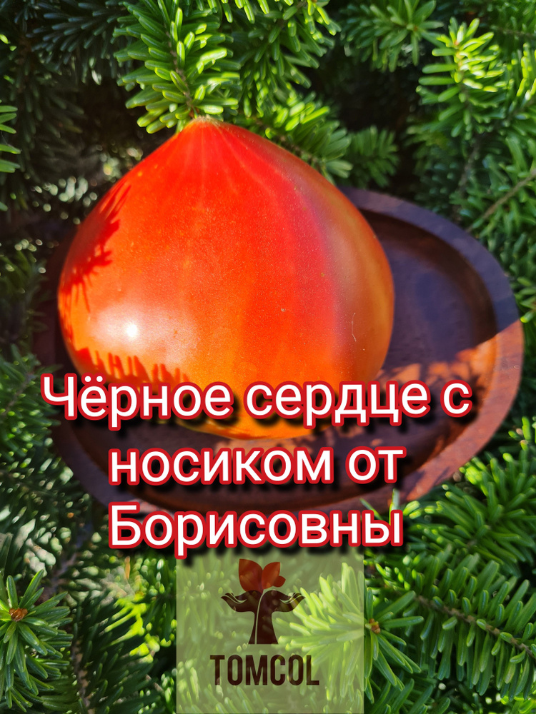 Семена #1
