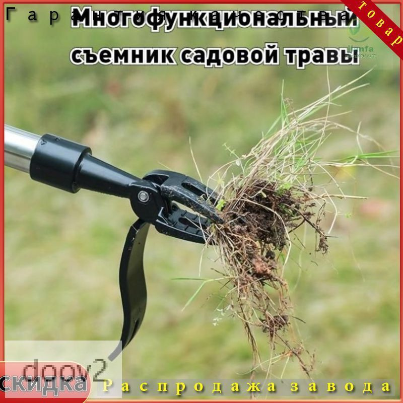 Кустодер чугун #1