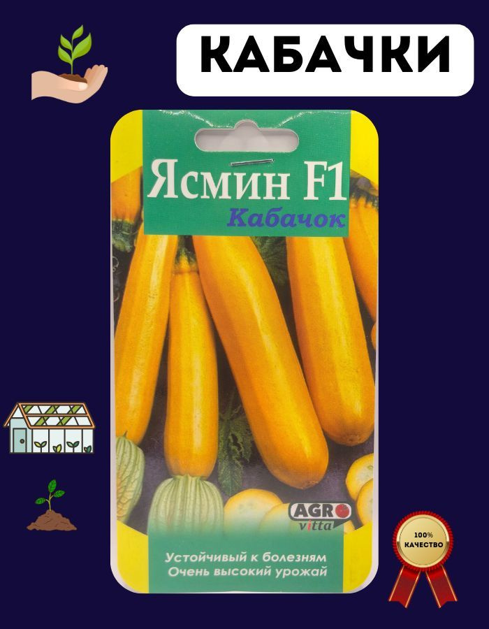 Семена кабачков #1