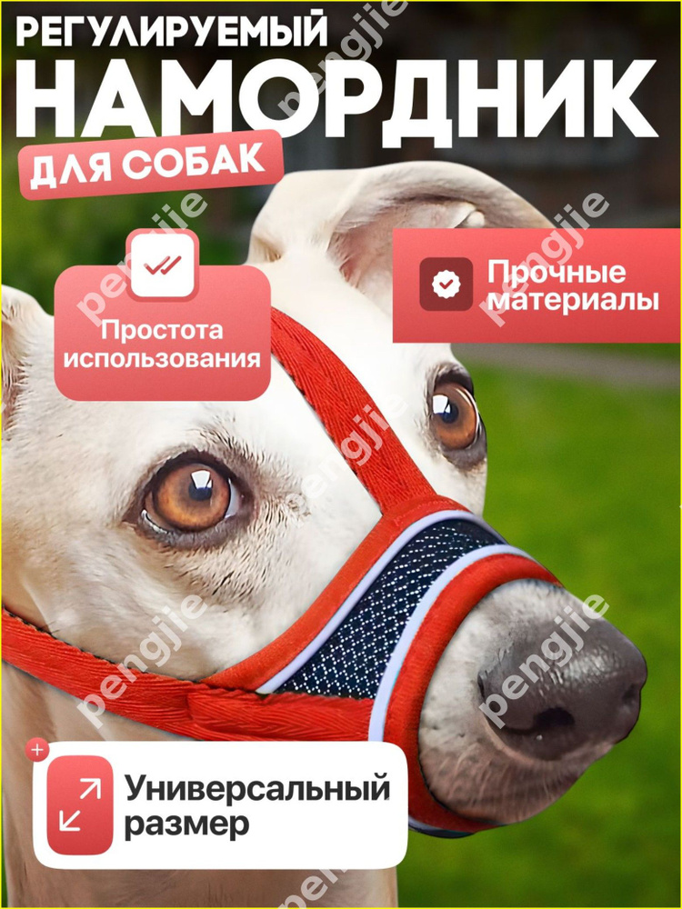 Намордник #1