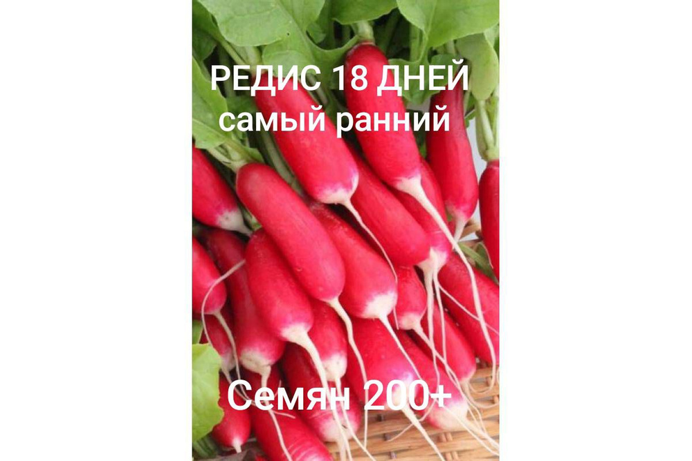 Семена #1