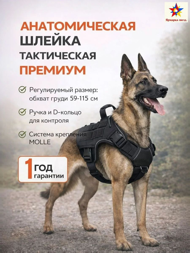 Одежда для животных #1