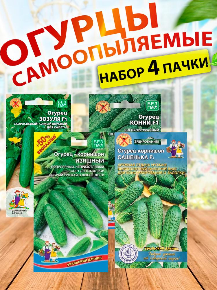 Семена огурцов самоопыляемые для теплицы и открытого грунта раннеспелые, без горечи #1