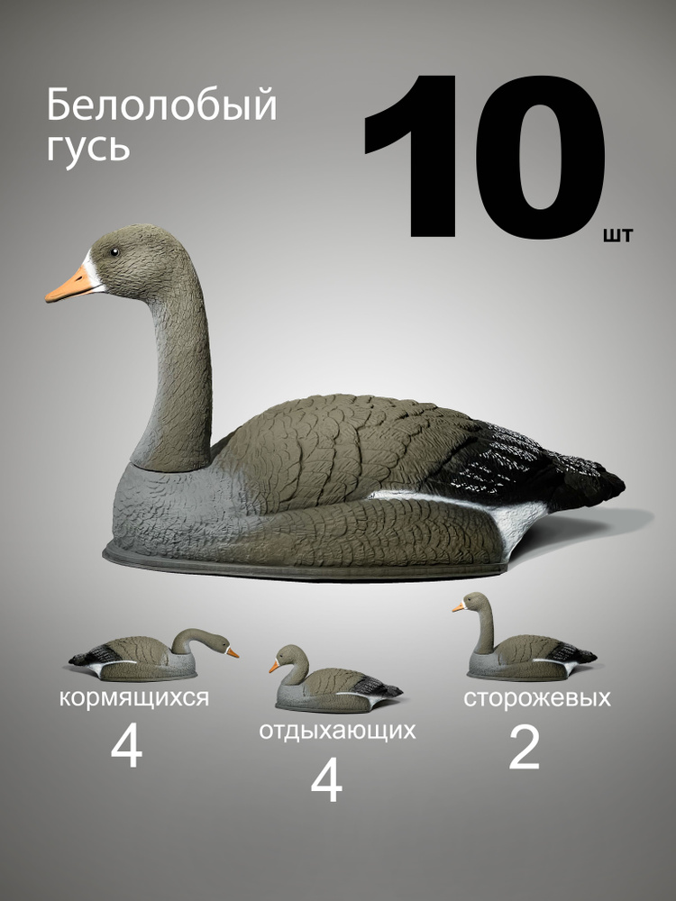 чучело гуся Белолобый 10 шт #1