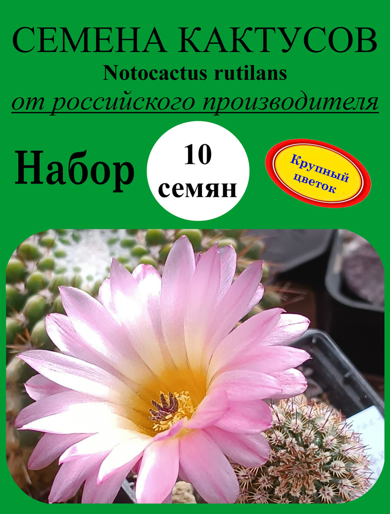 Семена #1