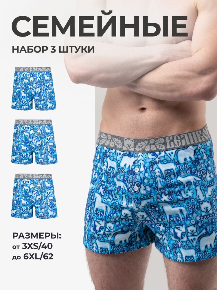 Комплект трусов шорты Великоросс Набор семейных, 3 шт #1