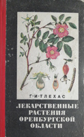 Богатство под ногами: природные лекарства и ароматные приправы оренбургской степи