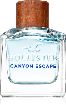 Hollister deals parfum man