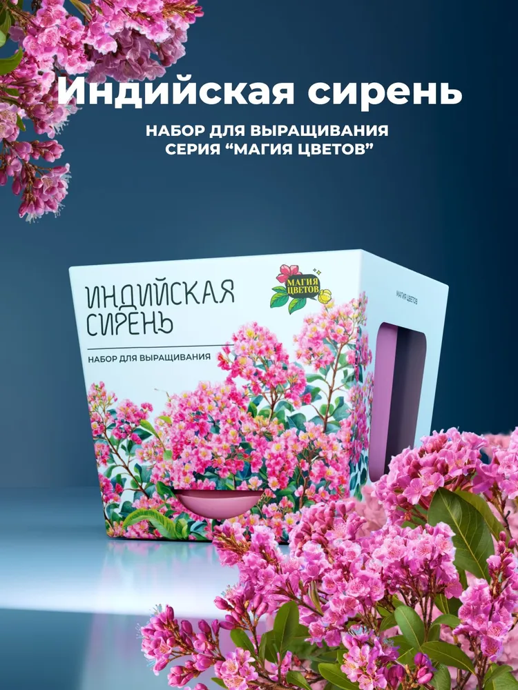 Индийская сирень Набор для выращивания растений, фиолетовый, фото 6