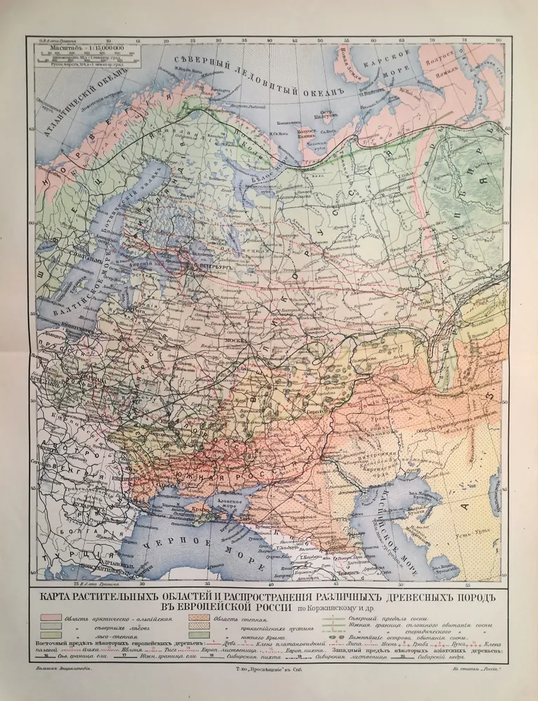 Карта растительности Европейской России. Антикварная карта. Старинная карта. Российская империя, 1904 год, вариант, фото 6