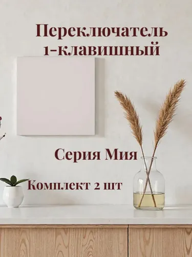 Переключатель 1-клавишный 50477. Комплект 2 шт