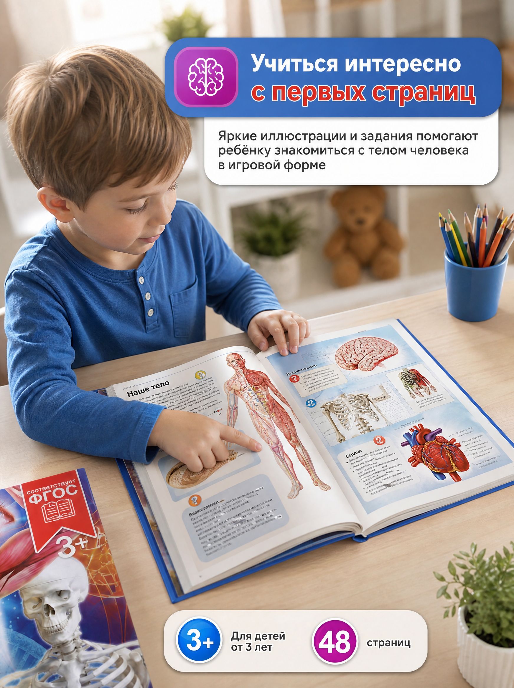 Тело человека. Энциклопедия | Cardboard Book for Toddlers - Ozon image 1