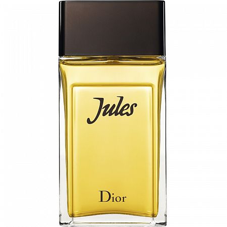 DIOR JULES туалетная вода мужская 100 мл купить