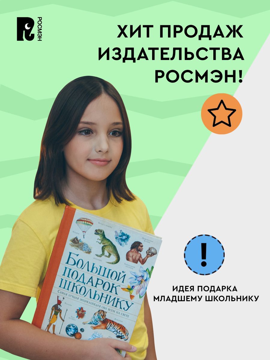 Большой подарок школьнику | A Great Gift for a Schoolchild - Ozon image 5