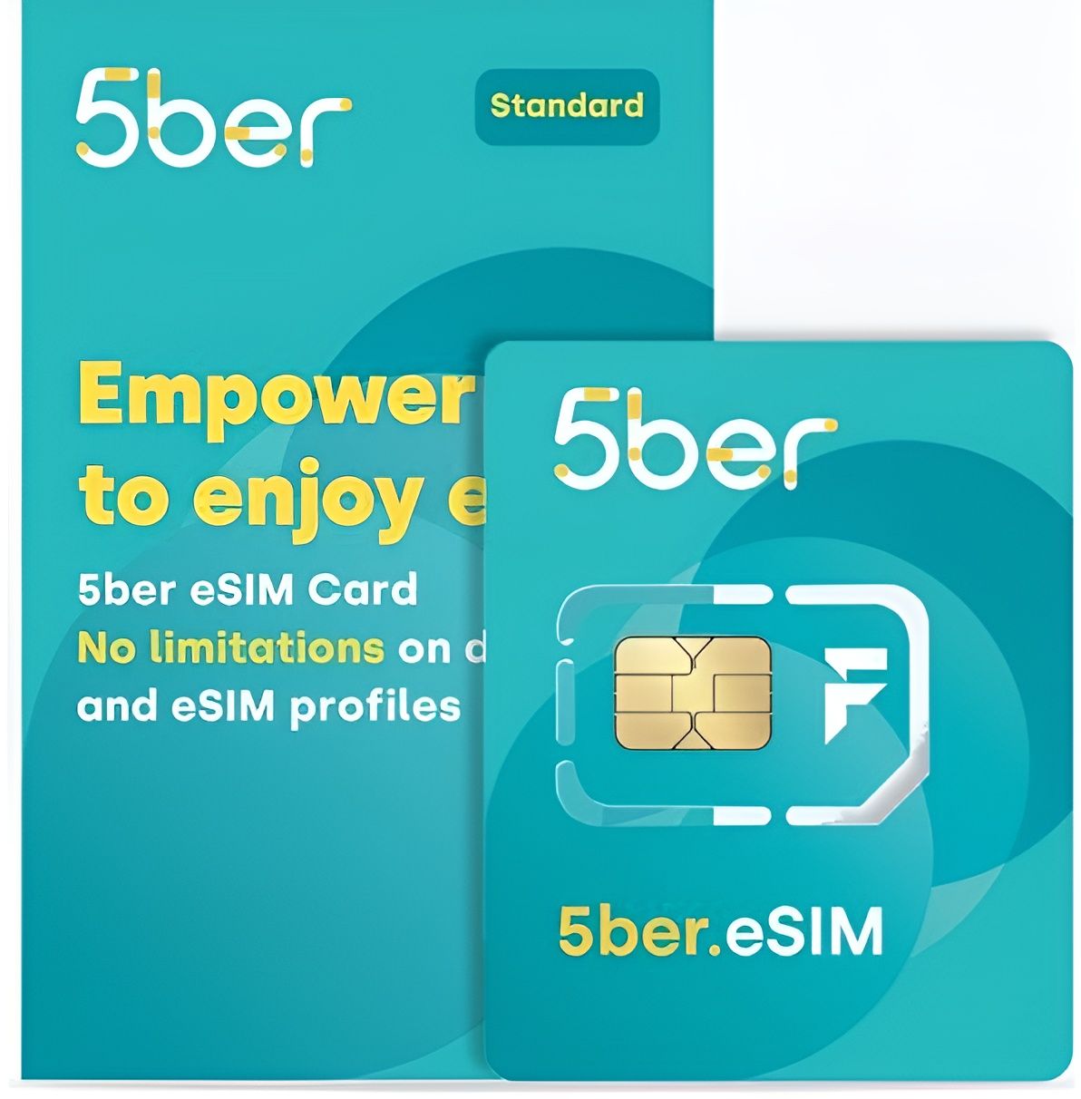 5ber standart esim адаптер купить на OZON по низкой цене (1660789350)
