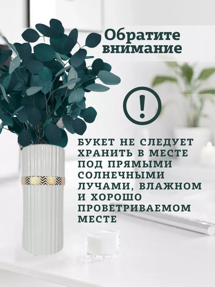 Эвкалипт парфиволия стабилизированный зеленый 60-65cm SJ-4 Китай
