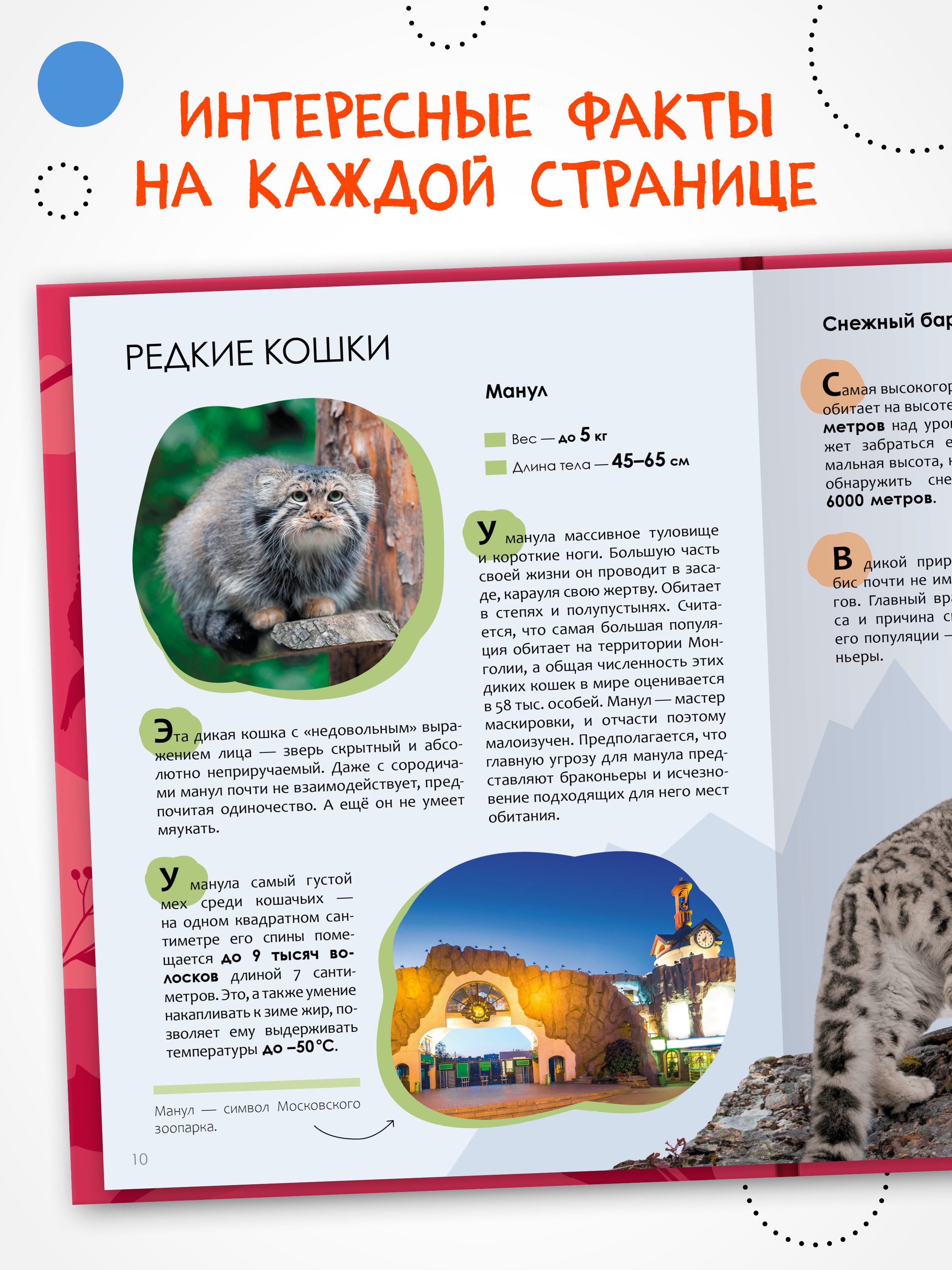 Энциклопедия для школьника 7+. Познавательная, развивающая книга для детей. Подарок ребенку | Reference Book - Ozon image 1
