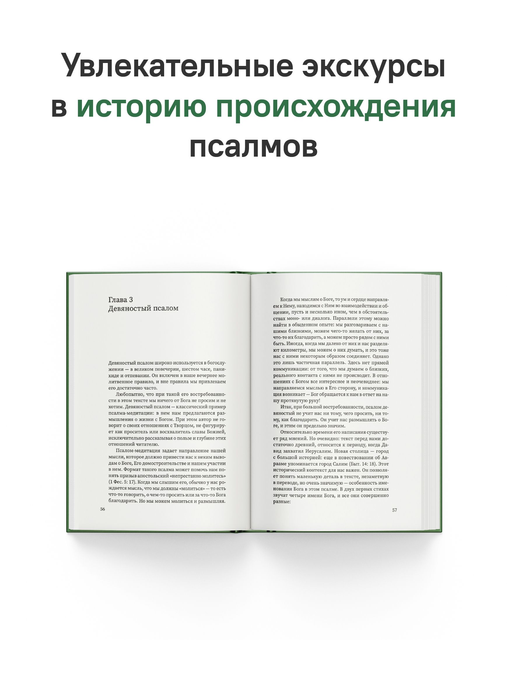 Щит Давида. Толкование псалмов, используемых в православном богослужении | David's Shield: A Guide to the Psalms Used in Orthodox Worship - Ozon image 6