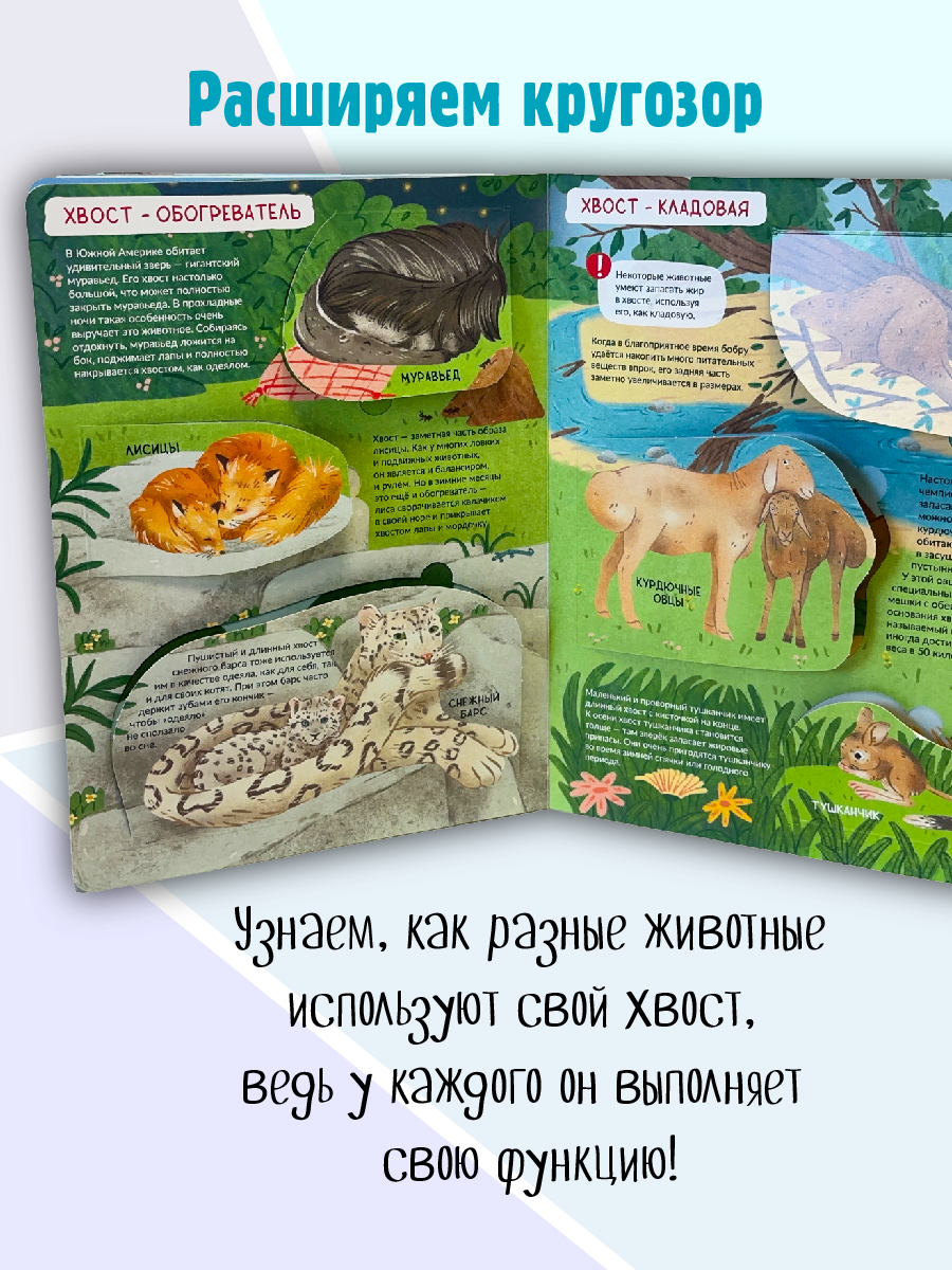Книга детская энциклопедия с окошками Виммельбух | Children's Encyclopedia with Windows Wimmelbuch - Ozon image 2