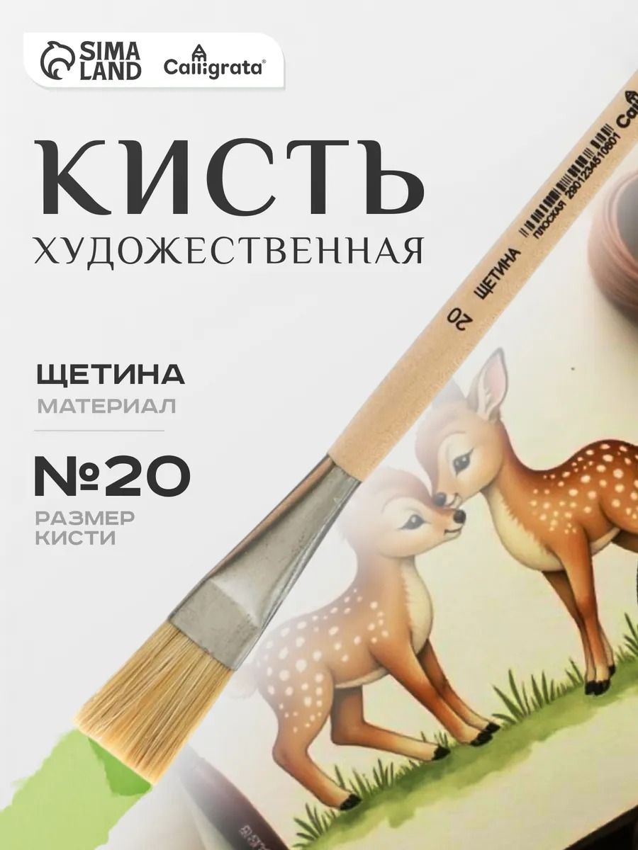 Кисть для рисования Calligrata, щетина плоская №20, длина волоса 28 мм, для рисования