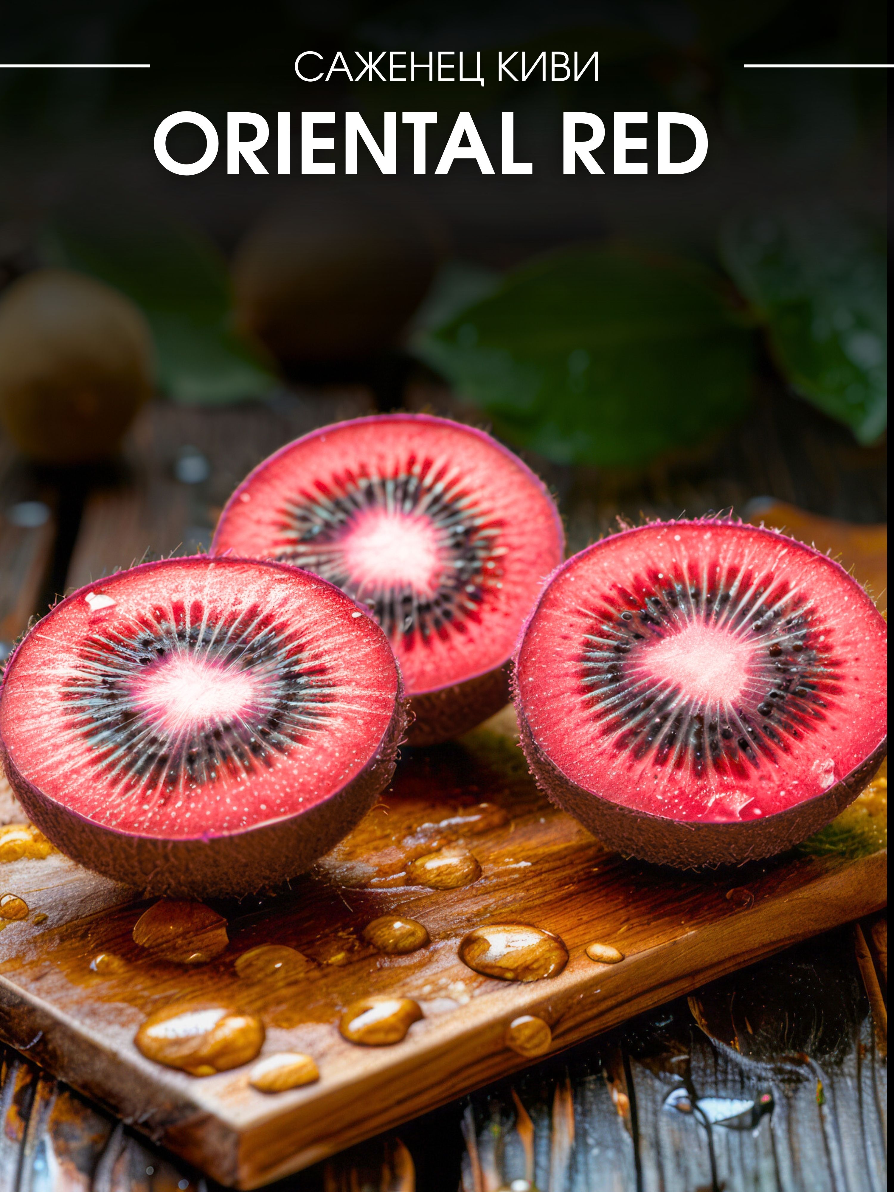 Саженцы Киви Oriental Red (самоплодный) купить на OZON по низкой