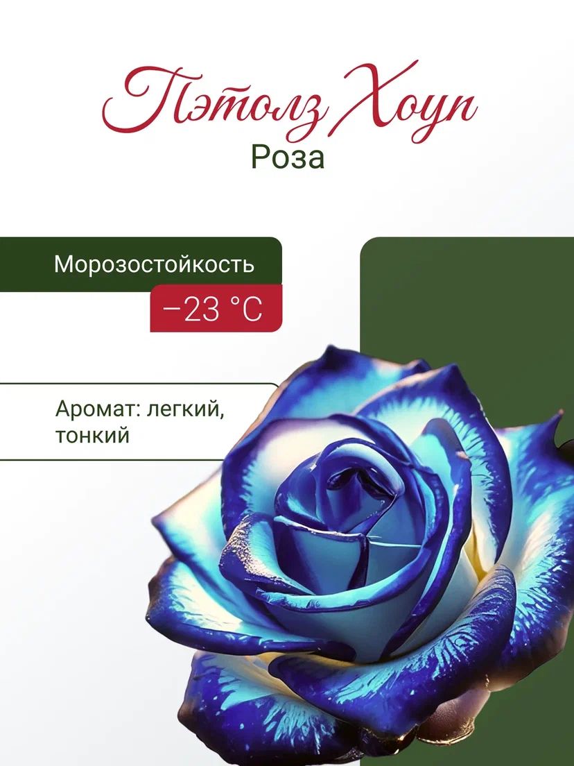 8576186553.jpg