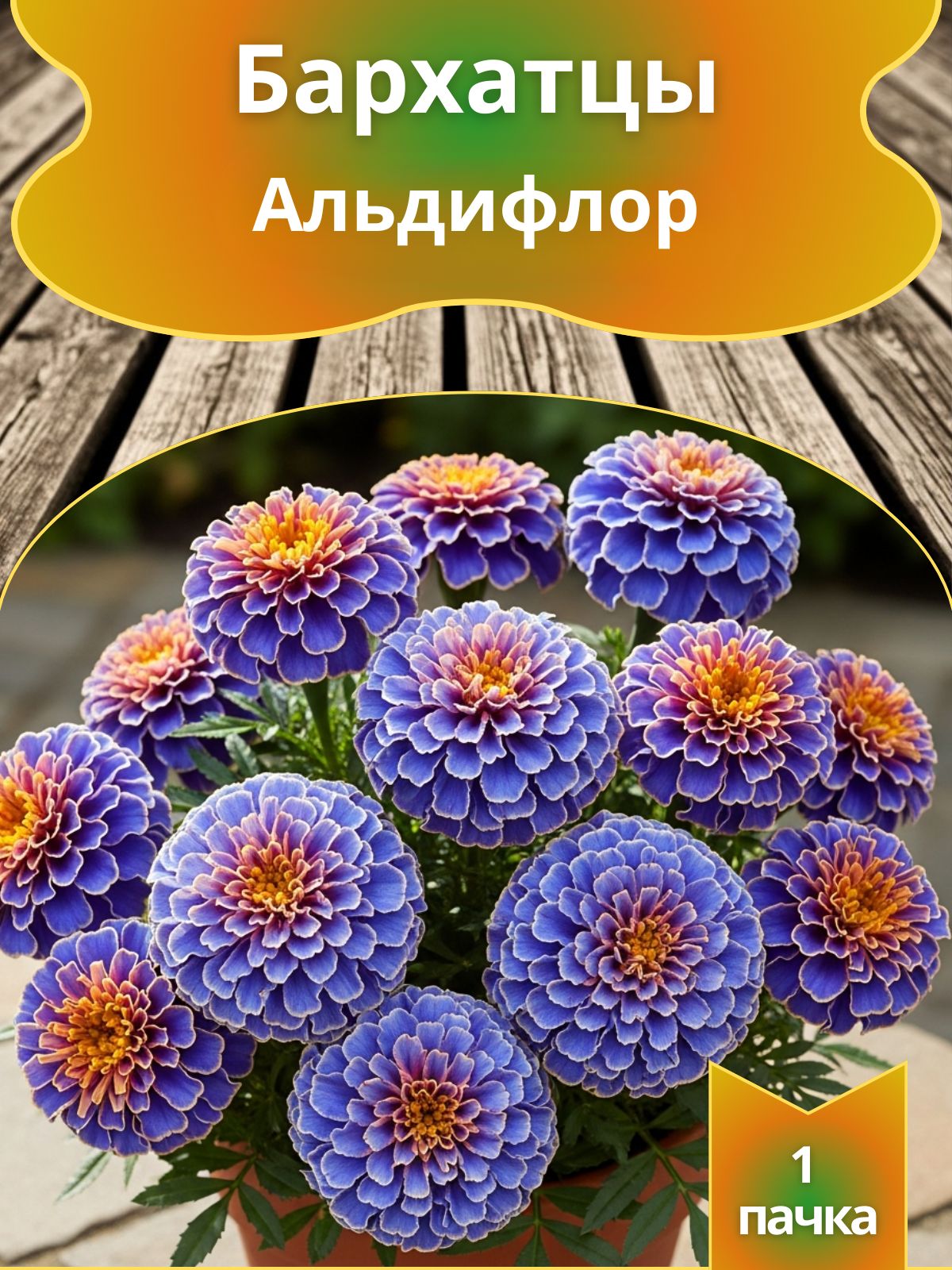 БархатцыАльдифлор,семена10шт.