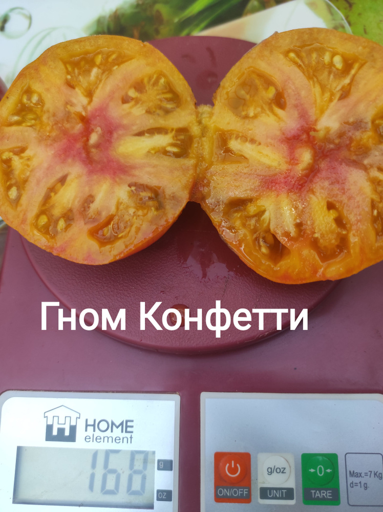 Гном Конфетти #1