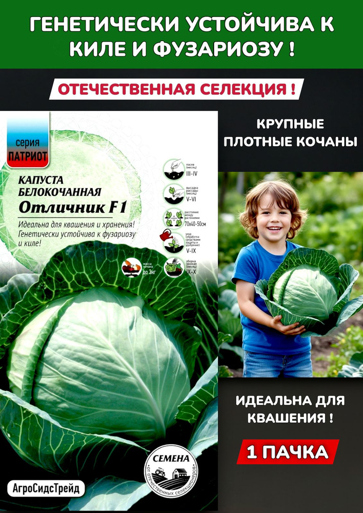 Капуста Белокочанная Отличник 1 пакет #1
