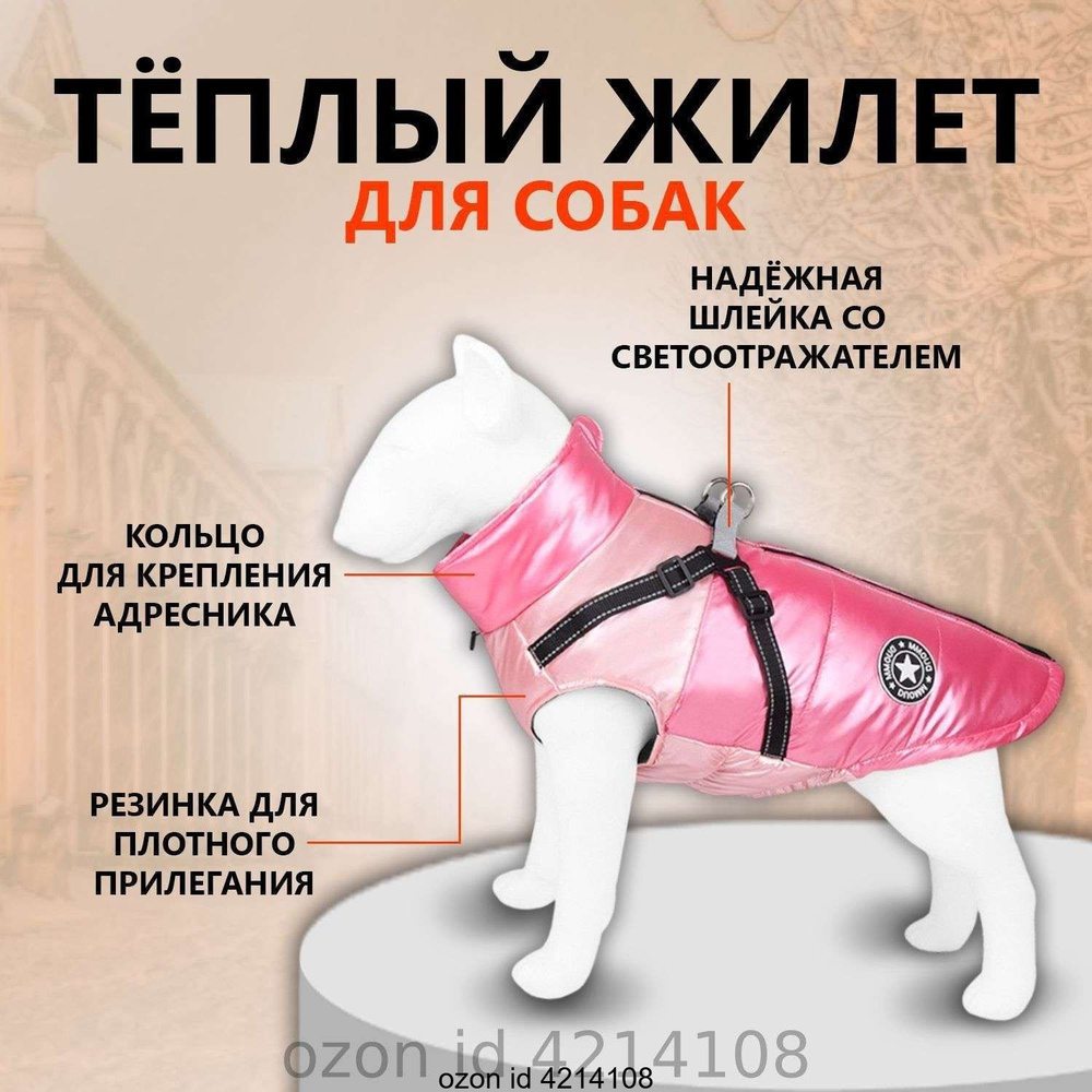 Одежда для животных #1