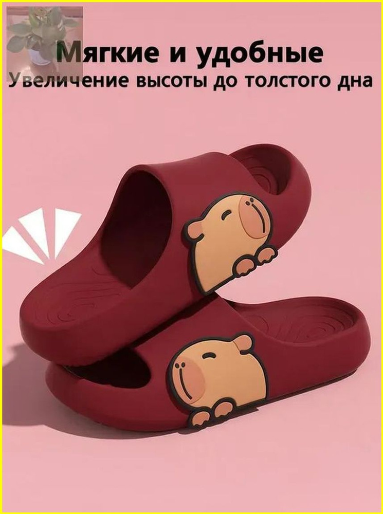 Тапочки #1