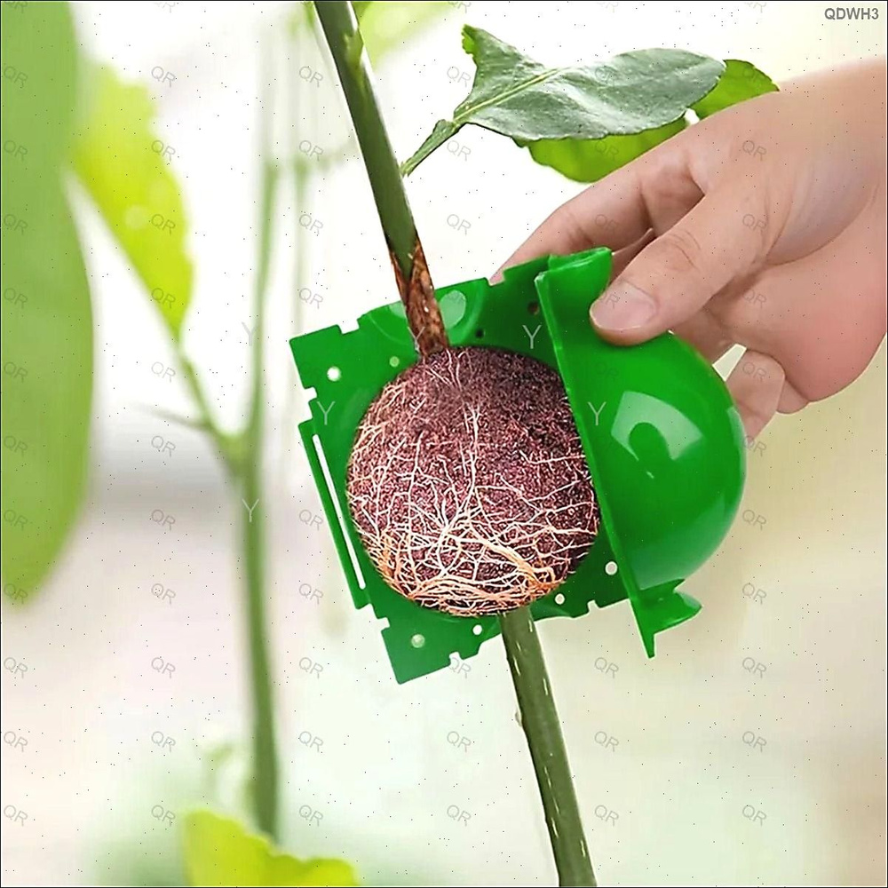 Гроубокс #1