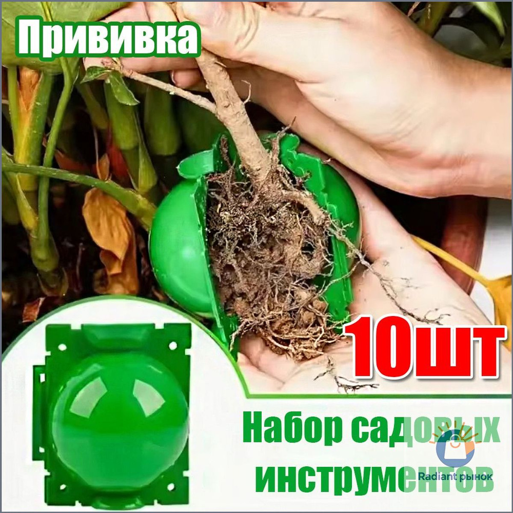 Компостер #1
