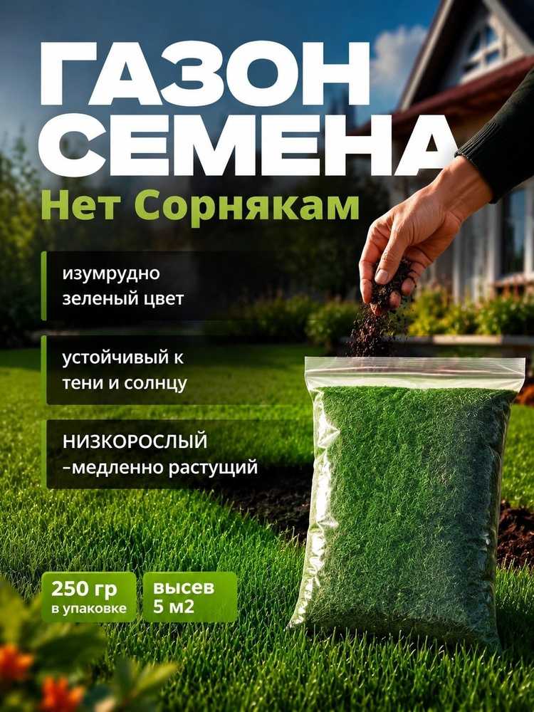 Семена #1