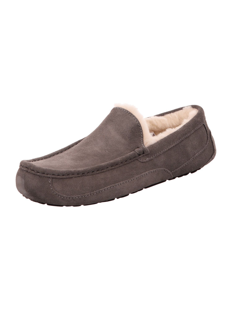 Тапочки UGG #1