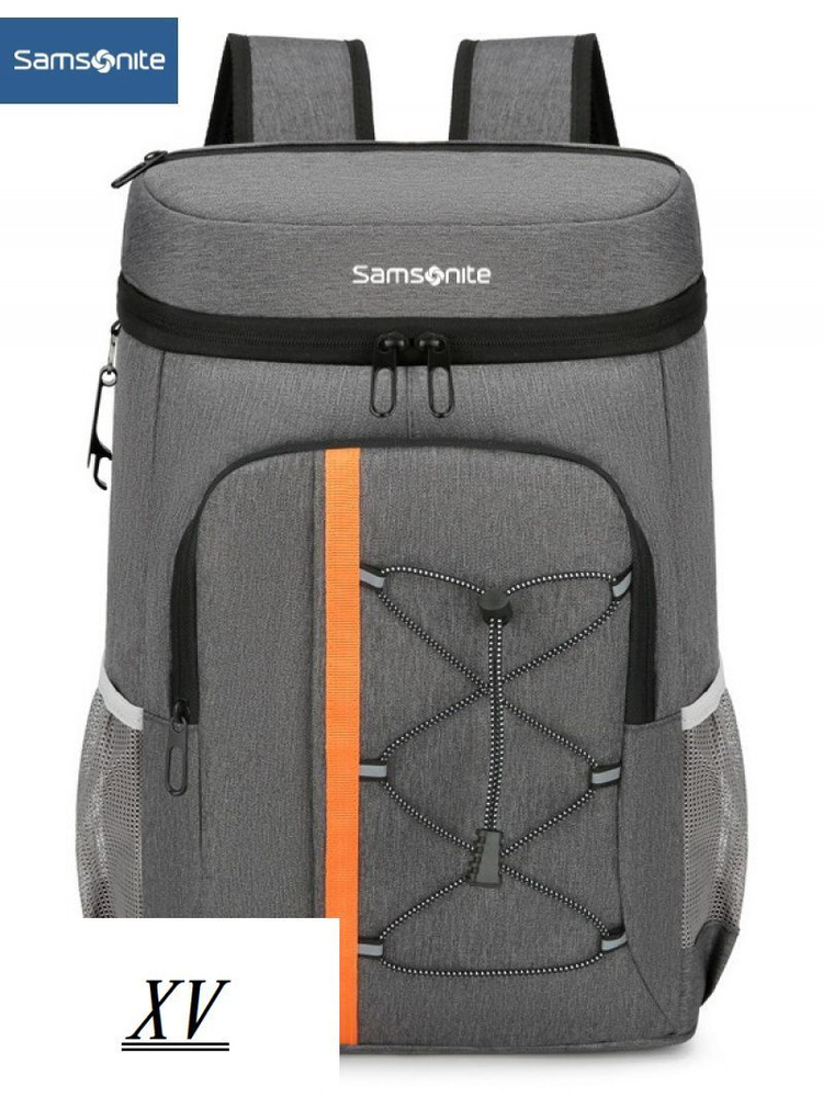 Samsonite Рюкзак #1