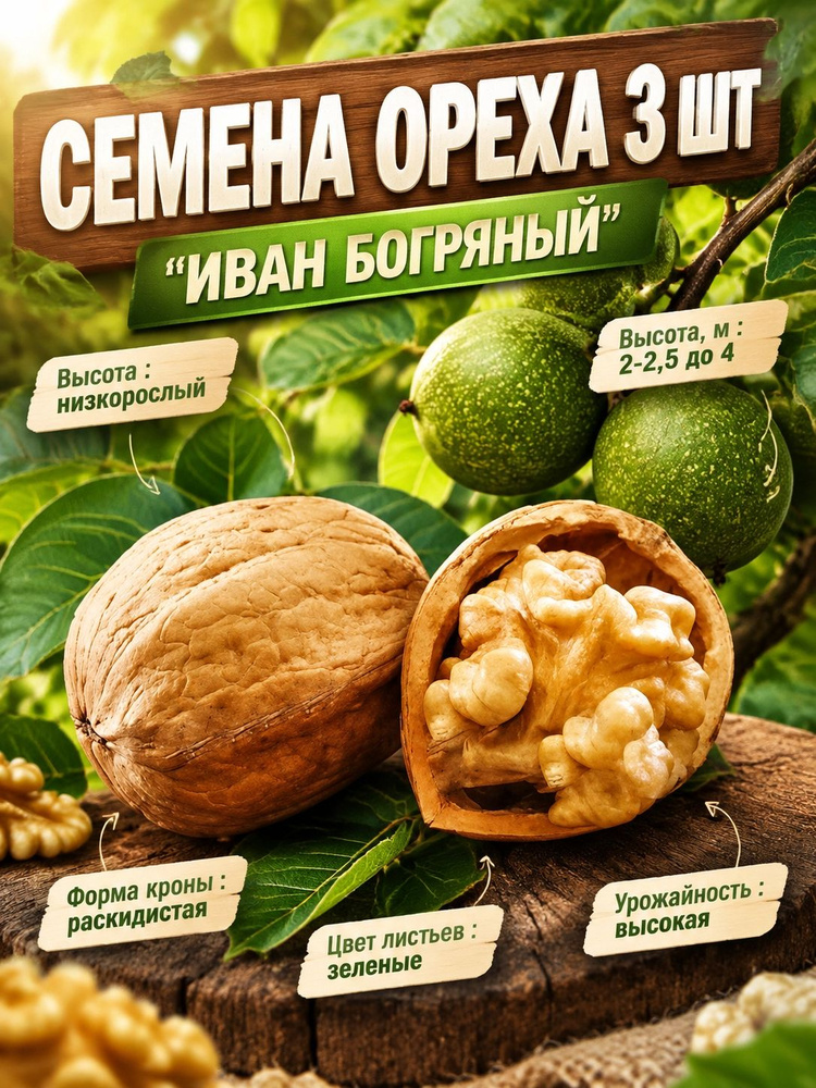 Семена ,3шт #1
