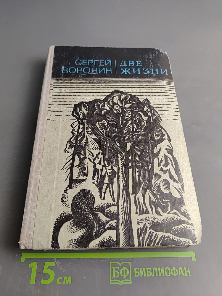 Две жизни | Воронин Сергей | Книга б/у #1