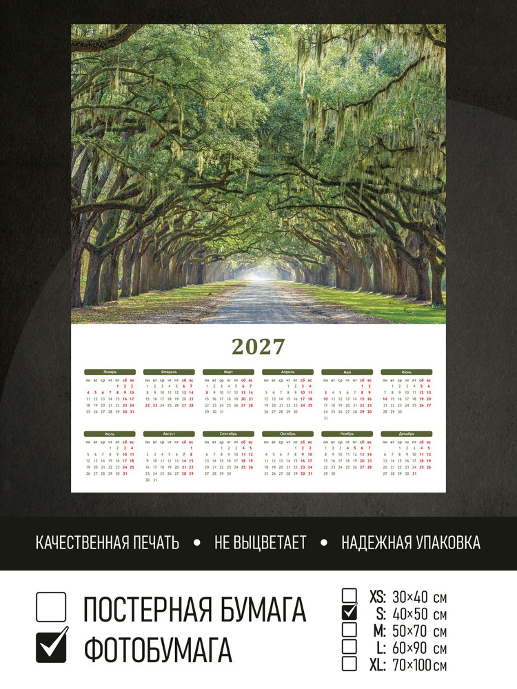 Календарь 2027 Тропинка под деревьями, фотобумага 40х50 см ПолиЦентр #1