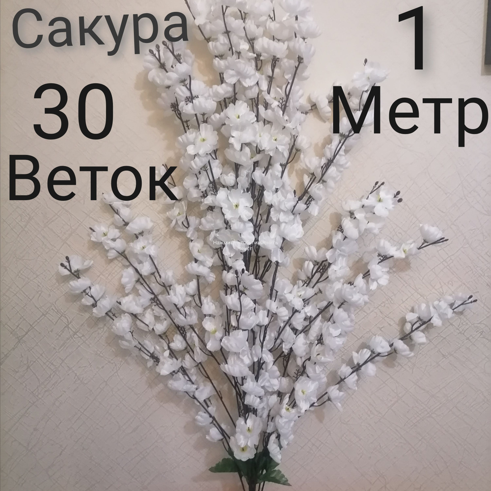 Купить ветка сакуры по выгодной цене в интернет-магазине OZON.ru ...
