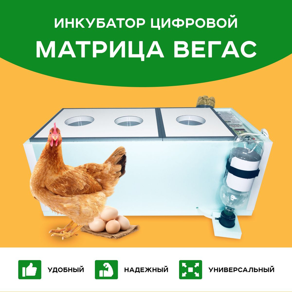 Инкубатор профессиональный NBF-1350