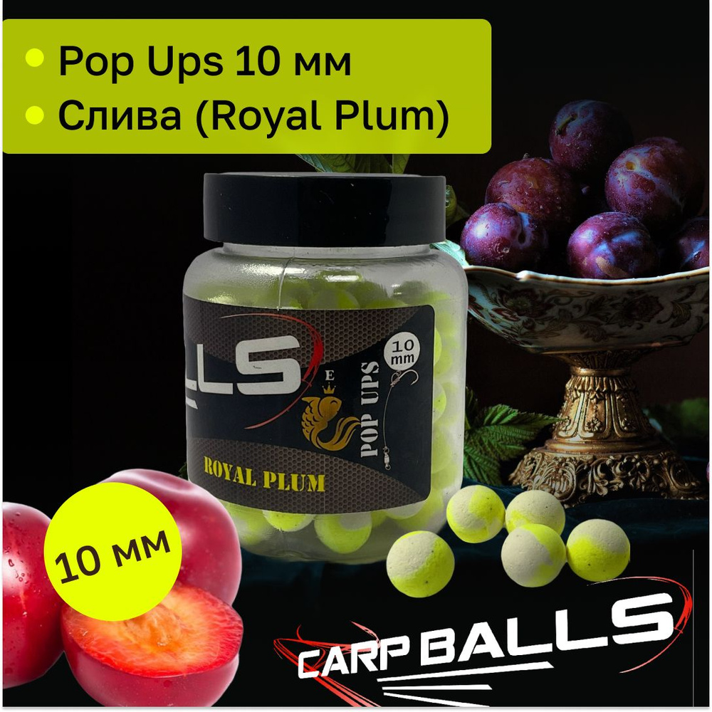 Бойлы карповые поп-ап Carpballs Skoryk 10 мм вкус Королевская Слива (Royal  plum) - купить с доставкой по выгодным ценам в интернет-магазине OZON  (1134181008)