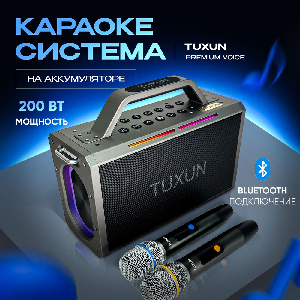 Караоке система Tuxun Premium Voice на аккумуляторе портативная мощность  200 Вт - купить с доставкой по выгодным ценам в интернет-магазине OZON  (1443018645)