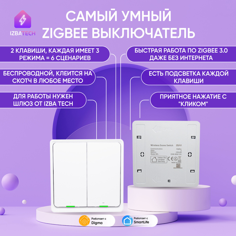 Умный выключатель Izba Tech, клавиш 2 шт, монтаж Открытый - купить с  доставкой по выгодным ценам в интернет-магазине OZON (967809048)