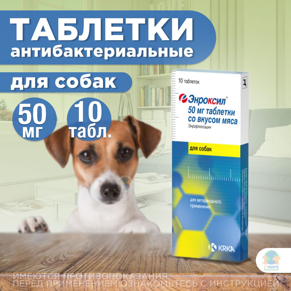 KRKA Энроксил 50 мг, таблетки для собак со вкусом мяса, 10 таблеток ...