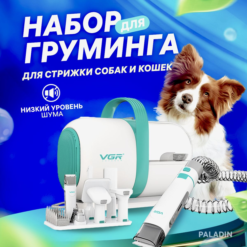 Как подстричь кошку и кота правильно в домашних условиях - FriendForPet