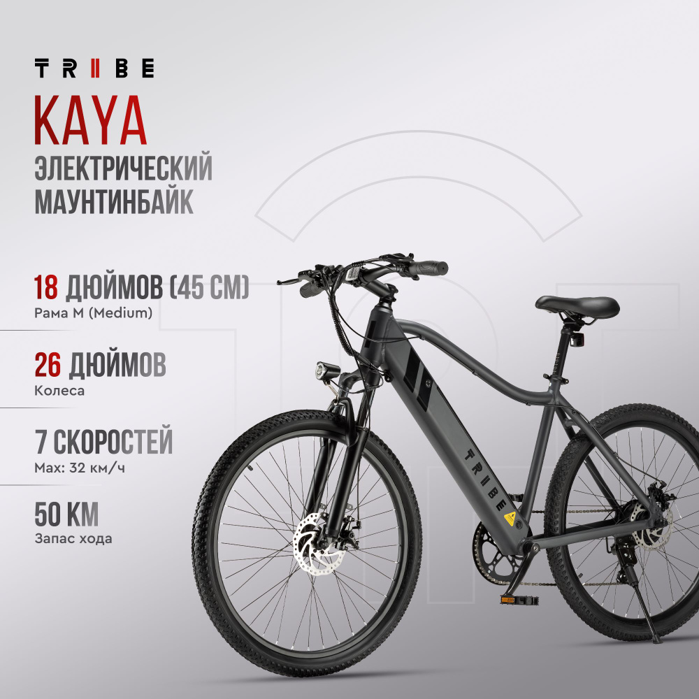 Электровелосипед Tribe Kaya (240 Вт, 26